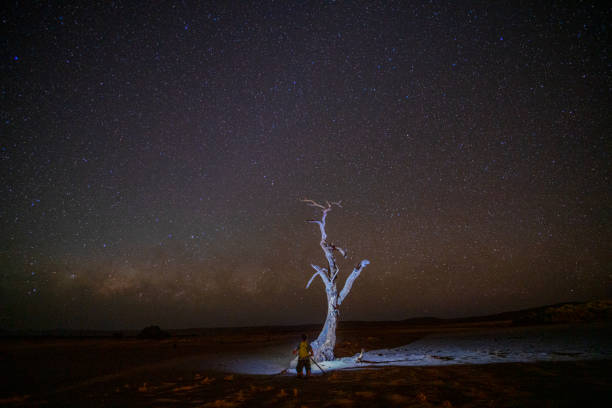 istock Man in desert observing starry sky 1263930172