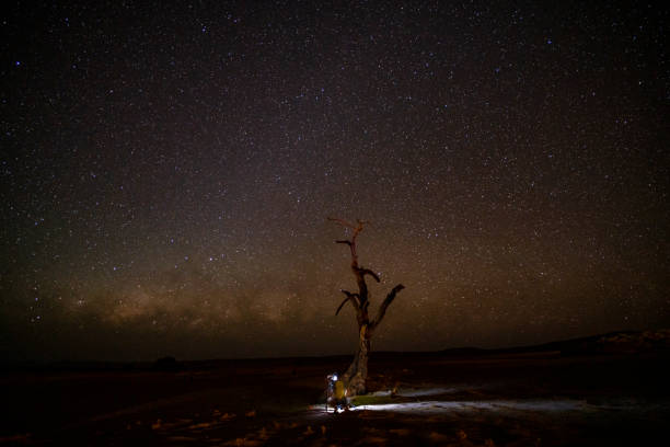 istock Man observing starry sky in desert 1263930180