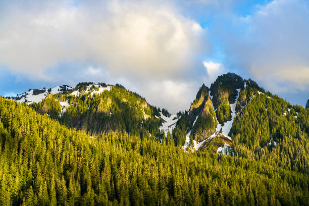 Tatoosh Mountain Range In Washington State, Mount Rainier National Park