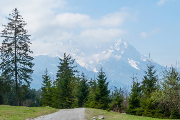 istock Way in Front of Mountain Waxstein Bavaria 1263930293