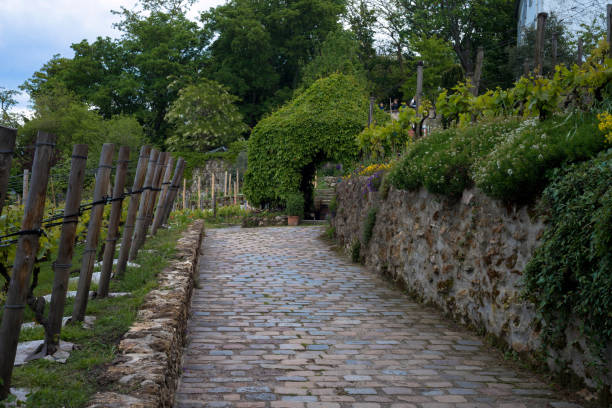 istock A walkway in the Montmarte District Paris 1263932788