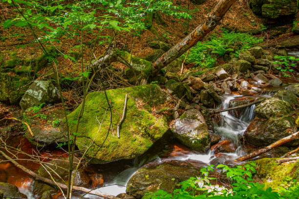 istock Beautiful mountain waterfall bouncing from the red massive rock 1263933944