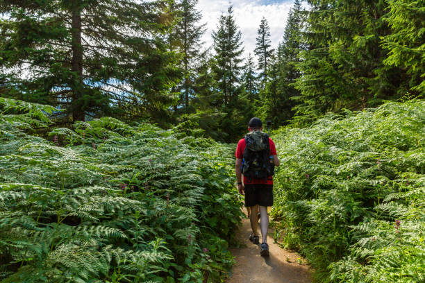 istock Summer hike in Cascade mountains 1263935489