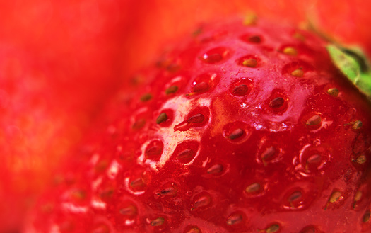Macro shot of red fresh ripe strawberry.