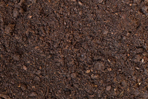 istock Soil as a background. Agriculture, gardening or ecology concept 1263936745