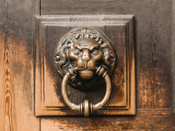 antique brass door knocker in the shape of a lion's head, detail of wooden door - door knocker door lion luxury imagens e fotografias de stock