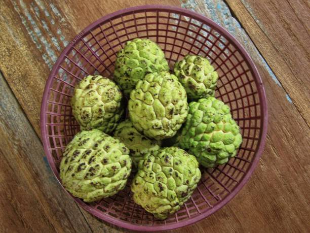 Sugar apple stock photo
