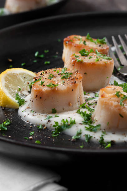 istock Seared Sea Scallops with a Creamy Garlic Alfredo Sauce 1263942325