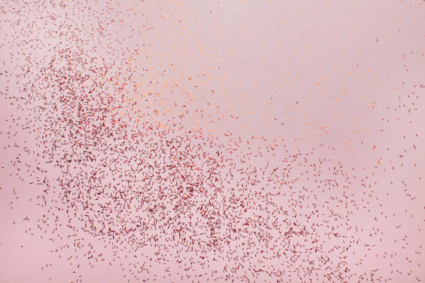 istock Coral abstract background with small red glitter. 1263950026