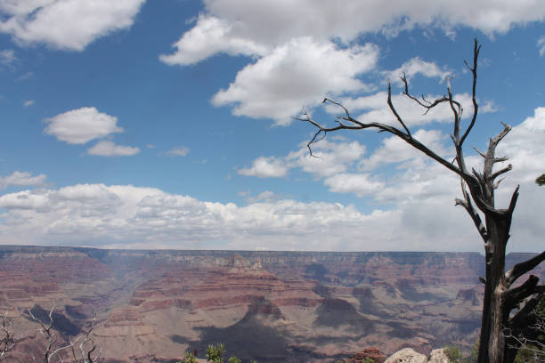 istock Grand Canyon from Southern Rim 1263954921