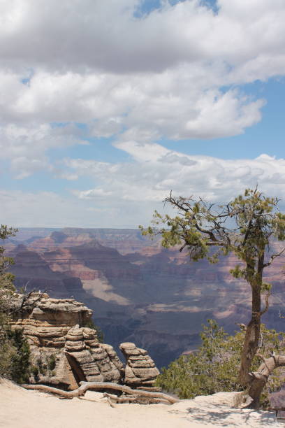 istock Grand Canyon from the Southern Rim 1263955956