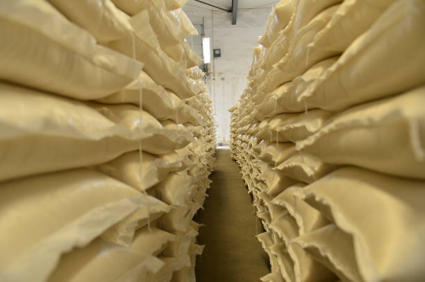 istock Many rows of plastic white sacks with goods are in big warehouse 1263961795