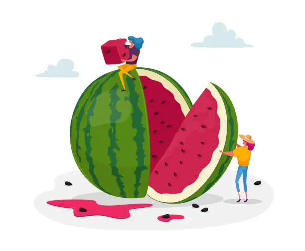 Vector illustration of Tiny Female Characters Enjoying Refreshing of Huge Ripe Watermelon. Women Slicing and Eating Melon Relaxing, Summer Food