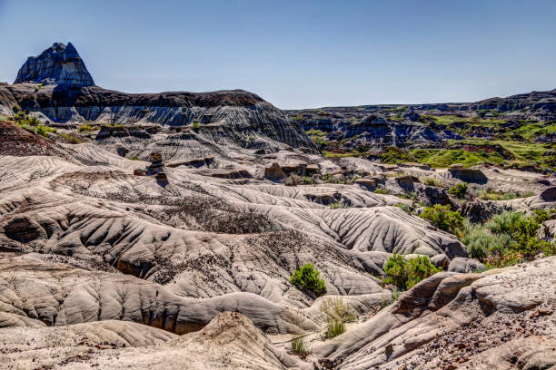 paisajes y terreno del parque provincial de los dinosaurios en alberta canadá - dorothy fotografías e imágenes de stock