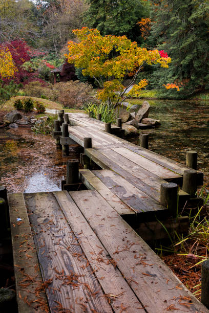 Large stepping stones cross the calm water of a forest garden, surrounded by colorful flowers, lily pads, and tall cypress trees. This tranquil scene conveys a sense of peaceful nature, balance, and an inviting pathway.