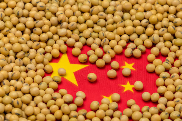 大豆で覆われた中国の国旗。中国の農産物輸入、輸出、貿易、貿易戦争、関税、生産、商品市場の概念 - country market ストックフォトと画像