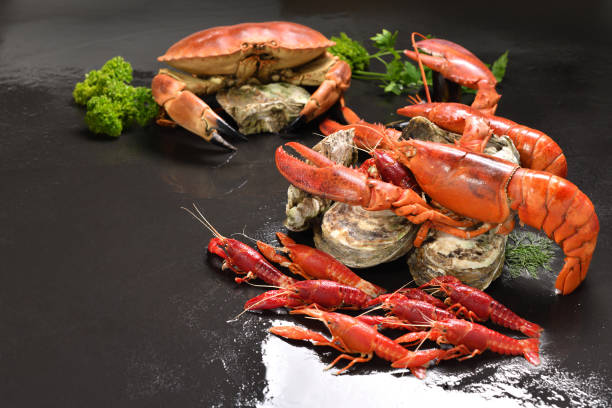 istock Seafood fresh lobsters arranged on stone background 1263975116