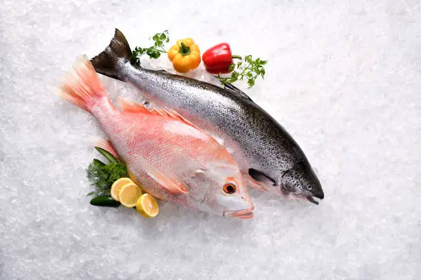 Fresh whole salmon and red snapper fish seafood uncooked on ice