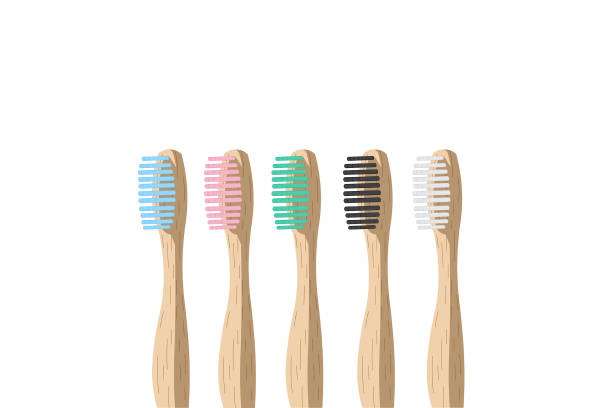 illustrations, cliparts, dessins animés et icônes de brosses à dents en bambou - toothbrush plastic multi colored hygiene