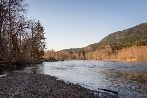istock Looking downstream on the Kalum River at Deep Creek on a spring morning 1263976154