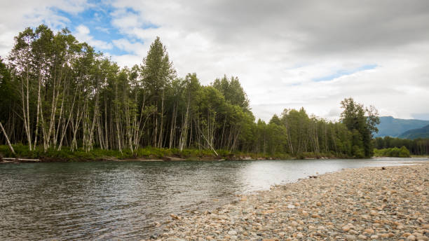 istock The Kitimat River in British Columbia, Canada, on a summers day 1263976799