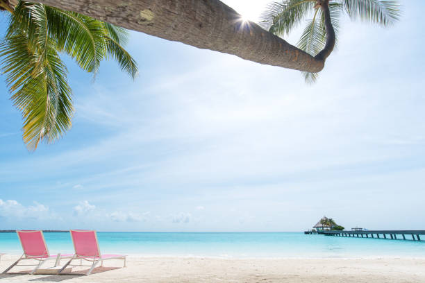 istock Lounge chairs under coconut palm trees on the tropical paradise beach 1263977556