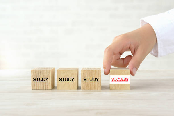 istock Child's hand and wooden blocks with study and success words 1263981334
