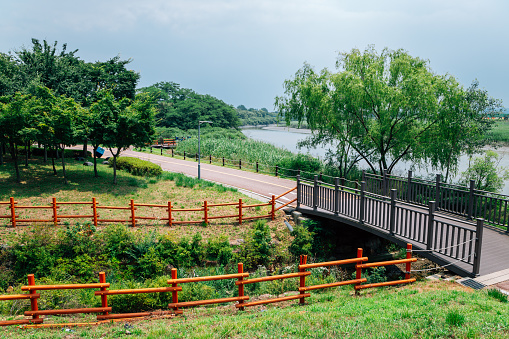 Summer of Ansan Reed Marsh Park in Ansan, Korea