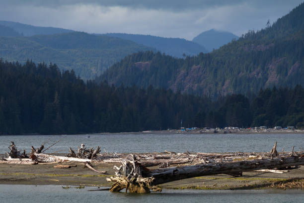 istock Port Renfrew, Vancouver Island, Canada 1263982866