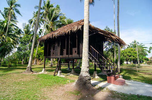 Penaga, Penang/Malaysia - Mar 14 2020: Malays kampung house in coconut plantation.