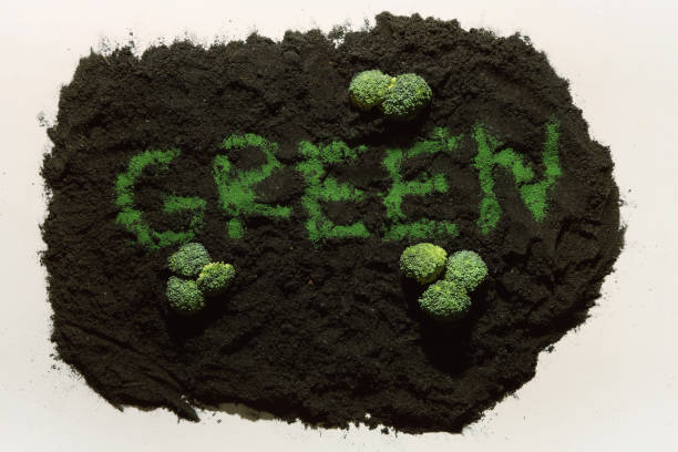 istock Broccoli on soil and the word 'GREEN' in the middle 1263985538