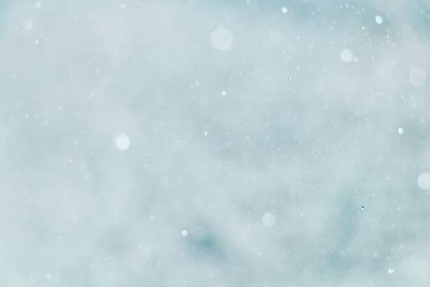istock Blurred images and bokeh 1263989080
