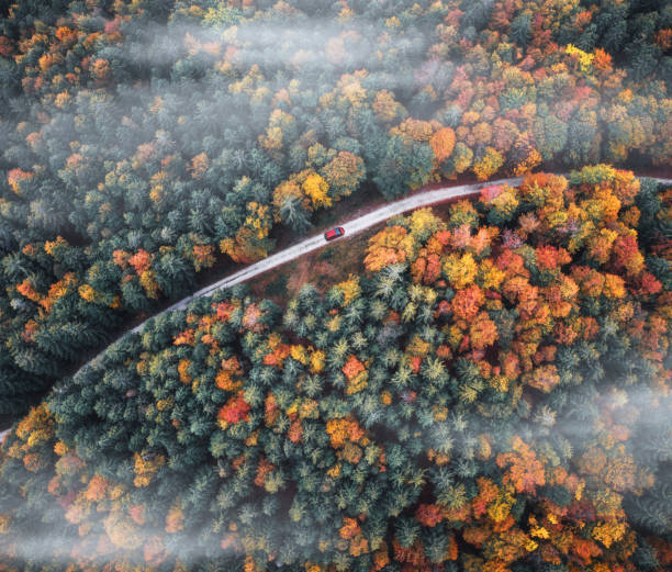 カラフルな森での運転 - forest autumn aerial view leaf ストックフォトと画像