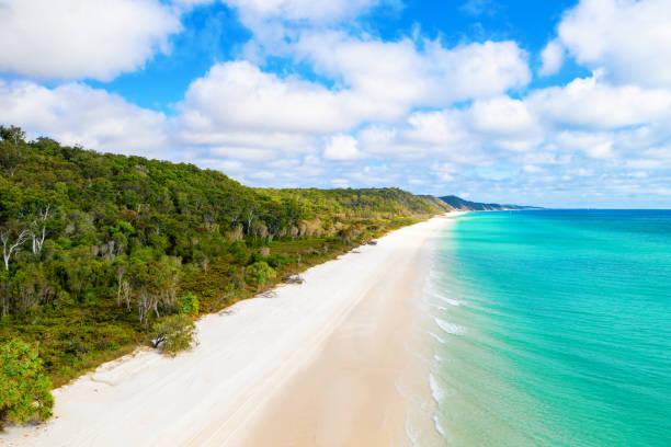 Pristine white sand beach on the western side of Fraser Island Pristine white sand beach on the western side of Fraser Island, QLD, Australia fraser island stock pictures, royalty-free photos & images