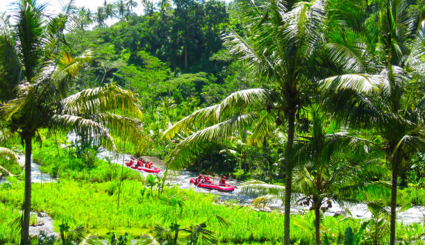 Rafting in the canyon on Balis mountain river Rafting in the canyon on Balis mountain river Ayung at Ubud, Bali, Indonesia rafting stock pictures, royalty-free photos & images