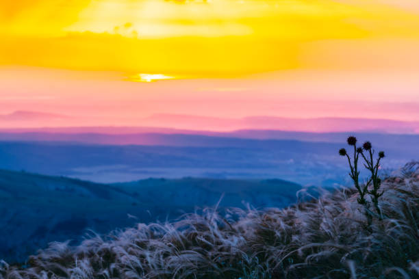istock mountain valley scene at the evening 1263999966