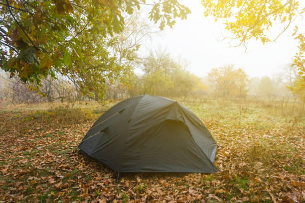 istock touristic tent in a dry wet autumn forest 1264001084