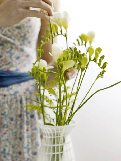 istock Arranging freesias in vase 1264003536