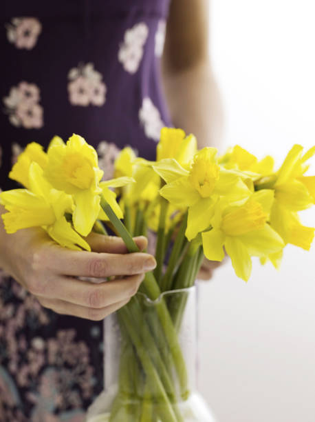 istock Woman arranging daffodils in vase 1264003589