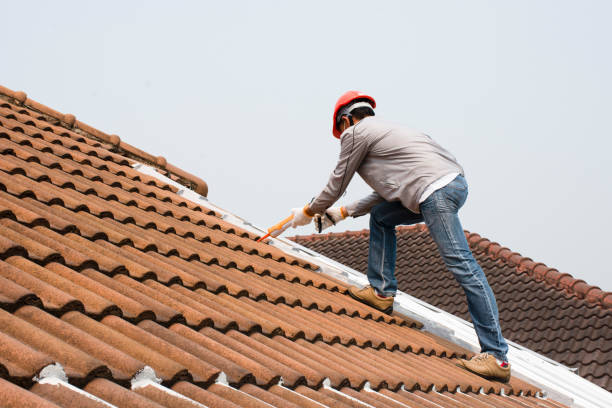 cannone caulk - roof foto e immagini stock