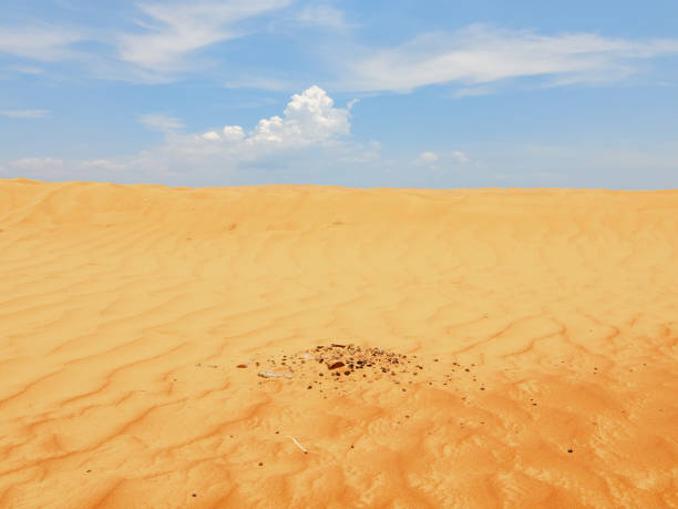 The extinguished bonfire on the sand in the desert