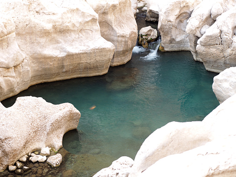 A natural fresh water pool in Wadi Bani Khalid national park in Oman.