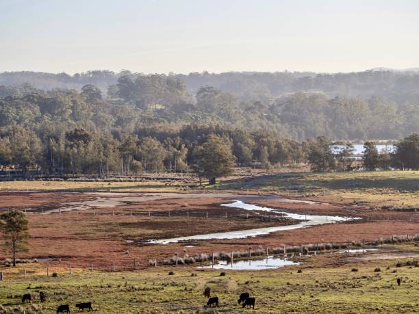 istock South Coast Countryside NSW 1264009844