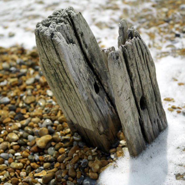istock Wooden post on pebbles with foam 1264011174