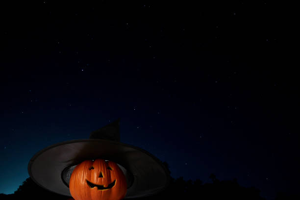 Jack O Lantern Halloween pumpkin with witches hat isolated on white background with clipping path