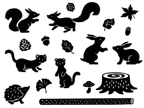 illustrations, cliparts, dessins animés et icônes de ensemble d’illustration de silhouette de modèle dessiné à la main des petits animaux dans la forêt - walnut nut isolated white background