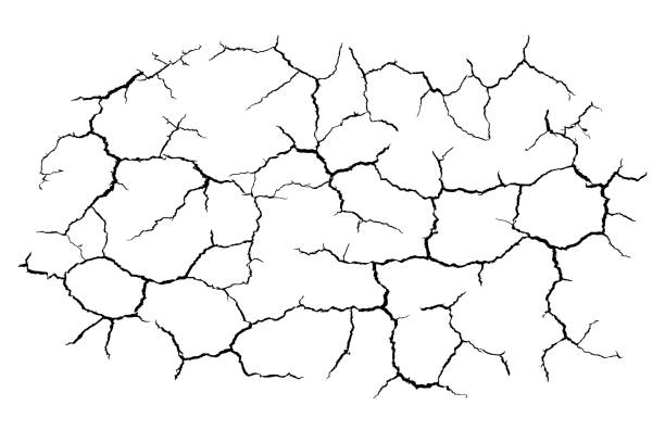 istock lots lines of crack ground for abstract background on white background 1264016656