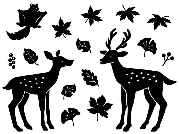 Hand drawn style silhouette illustration set of deer, flying squirrel and various leaves Hand drawn style silhouette illustration set of a pair of deer, flying squirrel and various leaves silhouette of a fall leaves black and white stock illustrations