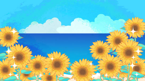 1,794 Cartoon Of A Pretty Sunflower Illustrations & Clip Art - iStock