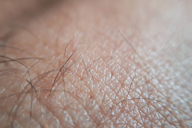 istock Super macro skin of human hand. 1264020036